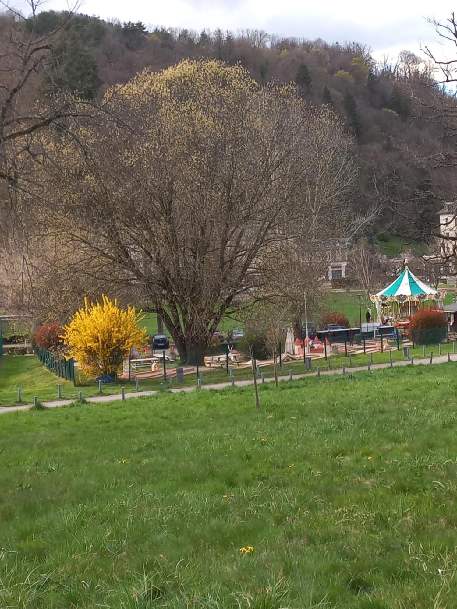 Residence Du Parc Saint-Martin-dʼUriage エクステリア 写真